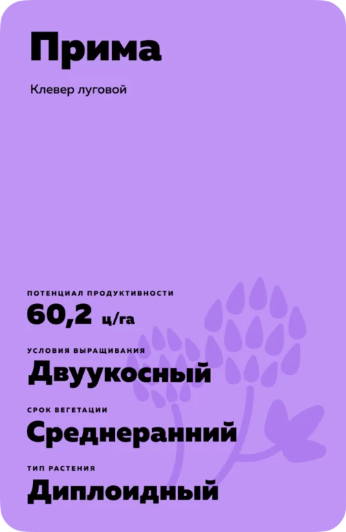 Прима