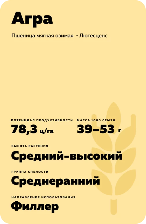 Агра сорт мягкой яровой пшеницы