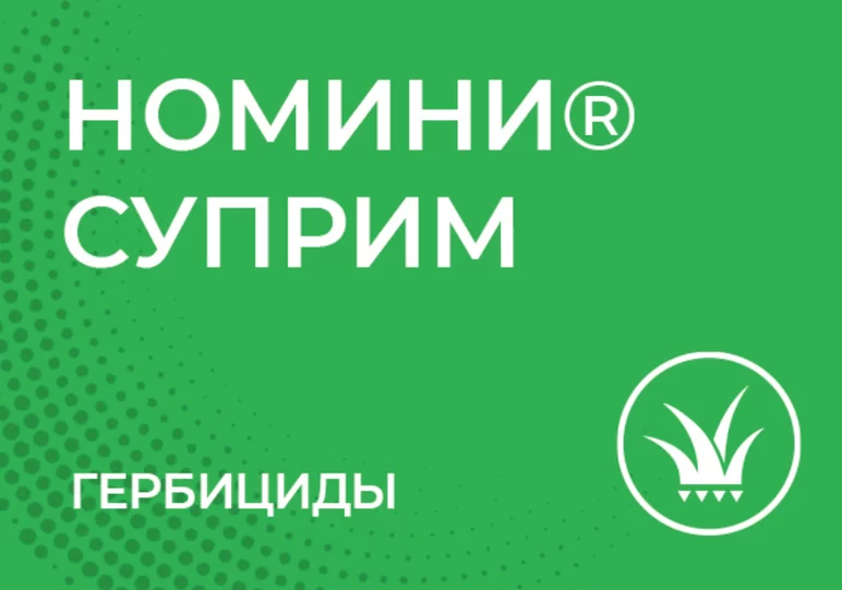 Номини Суприм, СЭ
