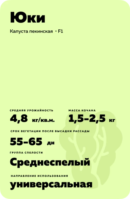 Юки F1 (YUKI)