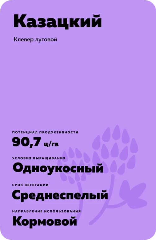 Казацкий