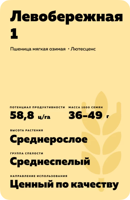 Левобережная 1