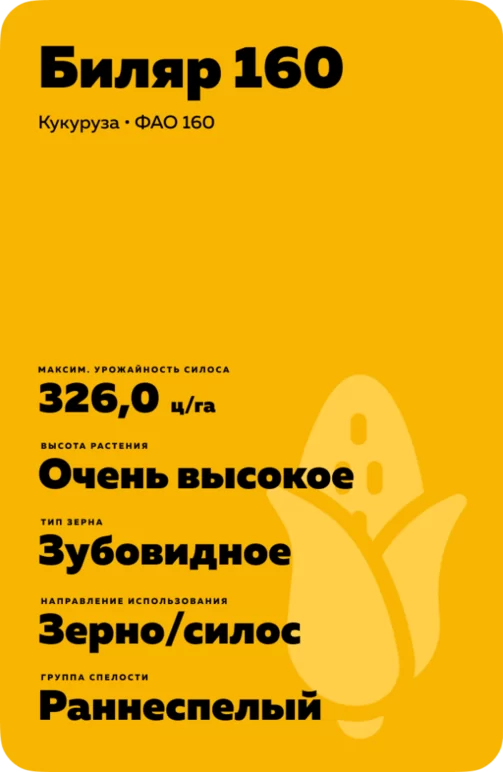 Биляр 160 гибрид кукурузы