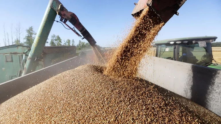 Запасы зерна и зернобобовых в августе 2022 года превысили предыдущий рекорд