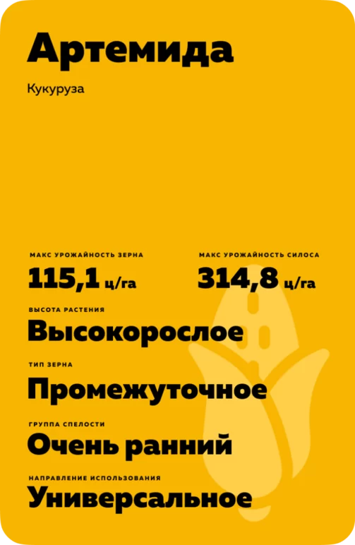 Артемида