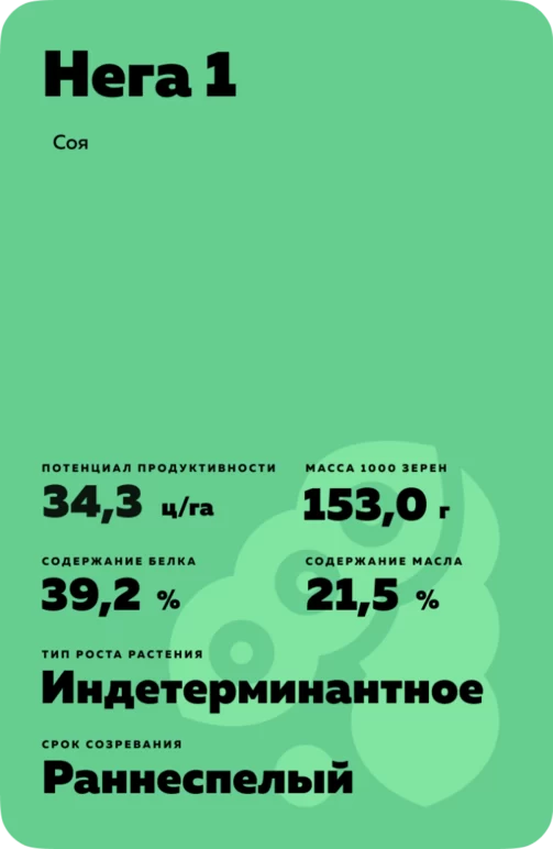 Нега 1 соя