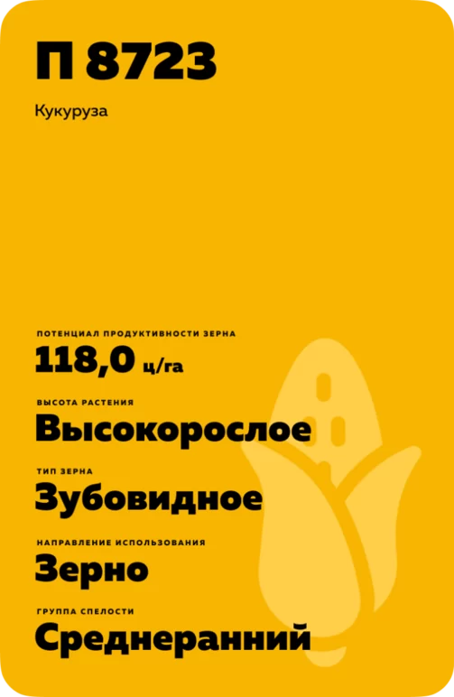 П 8723 - гибрид кукурузы
