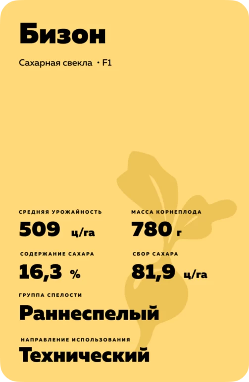 Бизон - свекла сахарная. Характеристики и отзывы