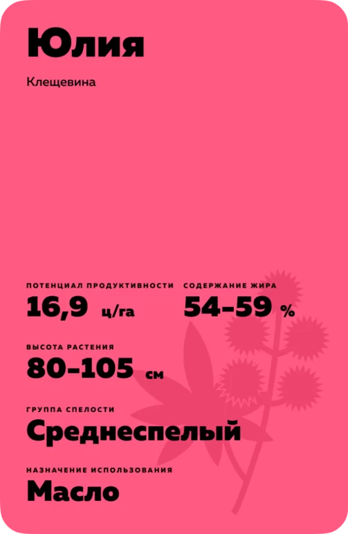 Юлия