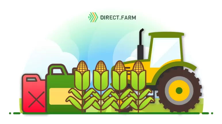 Кукуруза на зерно: технология возделывания