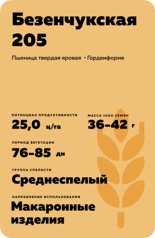 Безенчукская 205