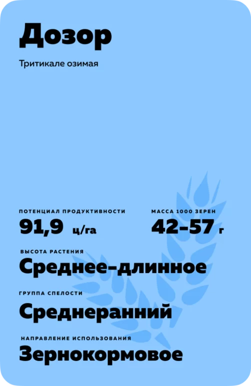 Дозор
