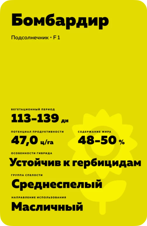 Бомбардир подсолнечник
