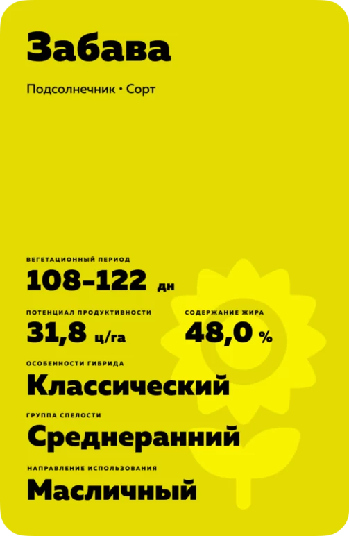 Забава подсолнечник