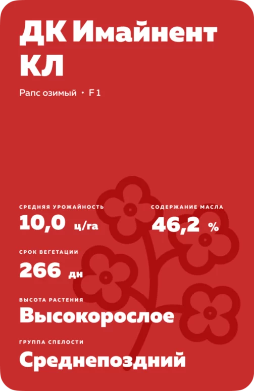 ДК Имайнент КЛ (DK IMMINENT CL)