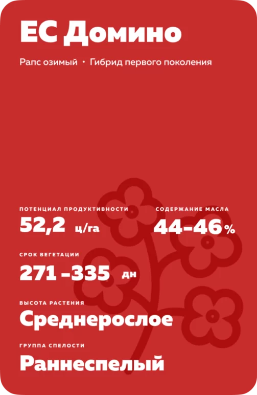 ЕС Домино рапс озимый