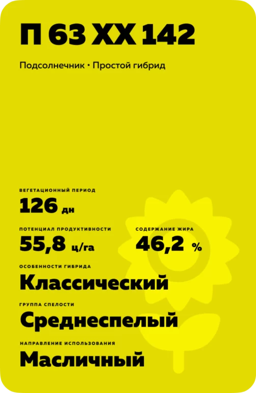 П 63 ХХ 142 - гибрид подсолнечника