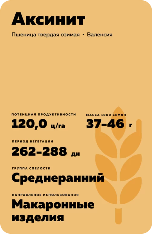 Аксинит сорт твердой озимой пшеницы