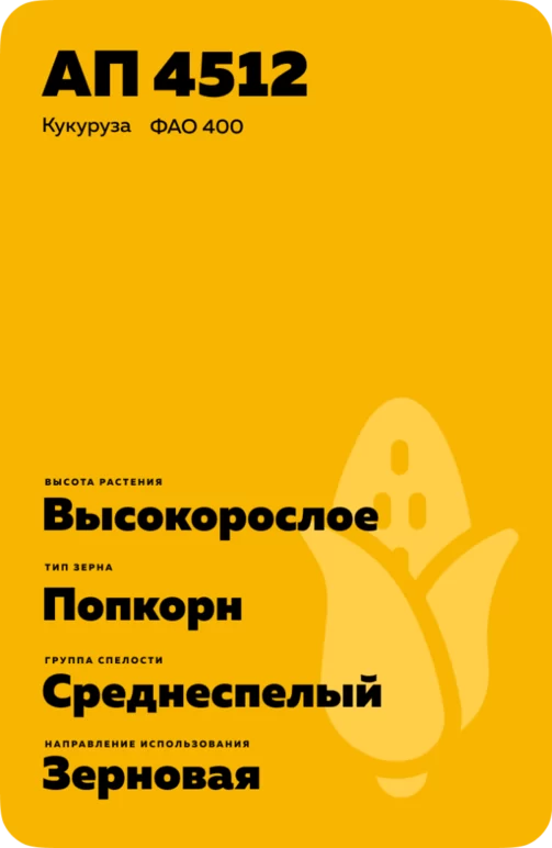 АП 4512 - гибрид кукурузы ( Zea mays L.).