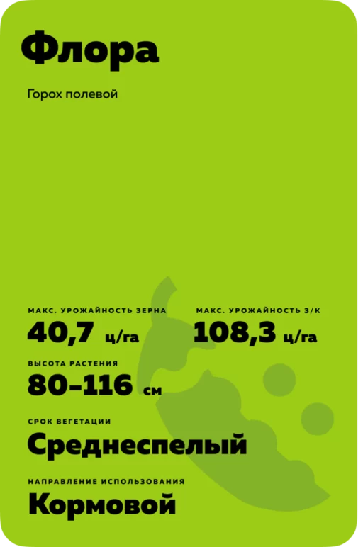 Флора