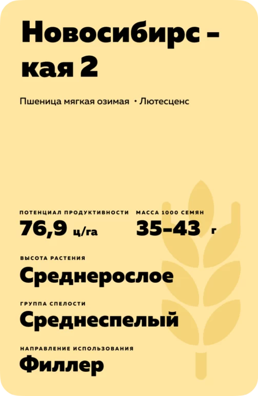 Новосибирская 2
