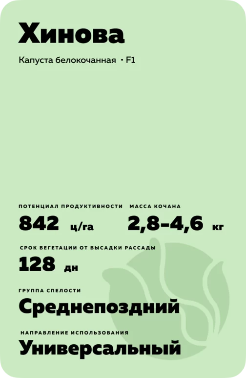 Хинова (HINOVA) гибрид капусты белокочанной