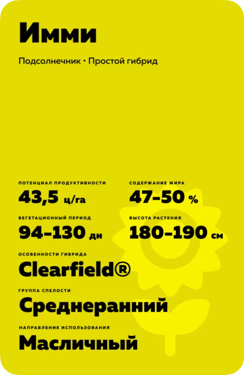 Имми  гибрид подсолнечника