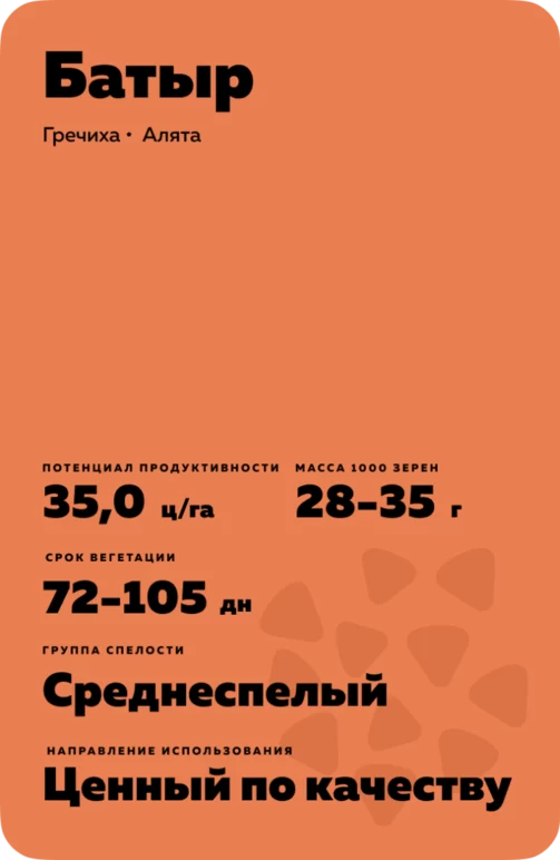Батыр
