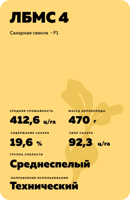 ЛБМС 4 гибрид сахарной свеклы