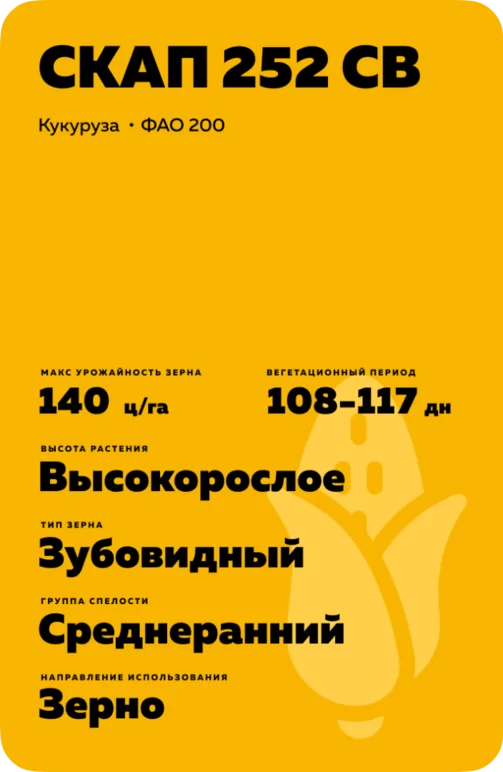 СКАП 252 СВ гибрид кукурузы