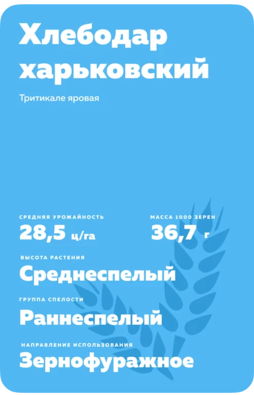 Хлебодар харьковский