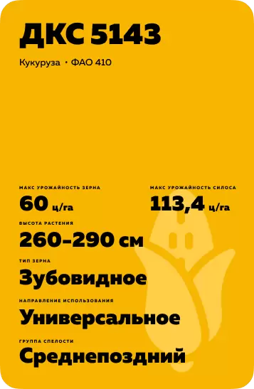 ДКС 5143 - гибрид кукурузы ( Zea mays L.).