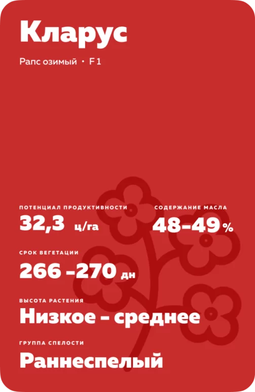 Кларус (CLARUS) гибрид рапса озимого