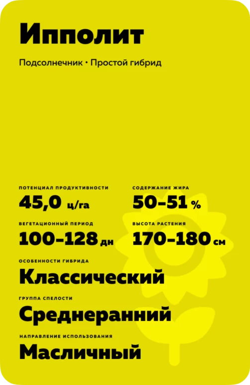 Ипполит гибрид подсолнечника