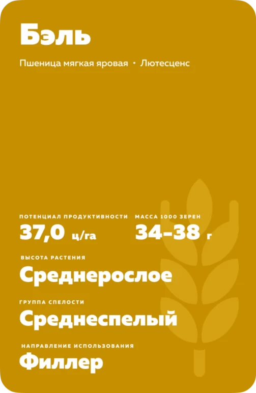 Бэль