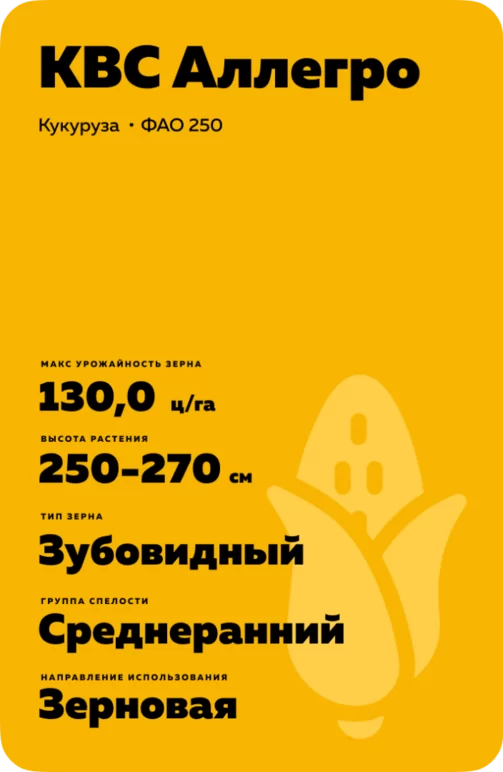 КВС Аллегро - гибрид кукурузы ( Zea mays L.).