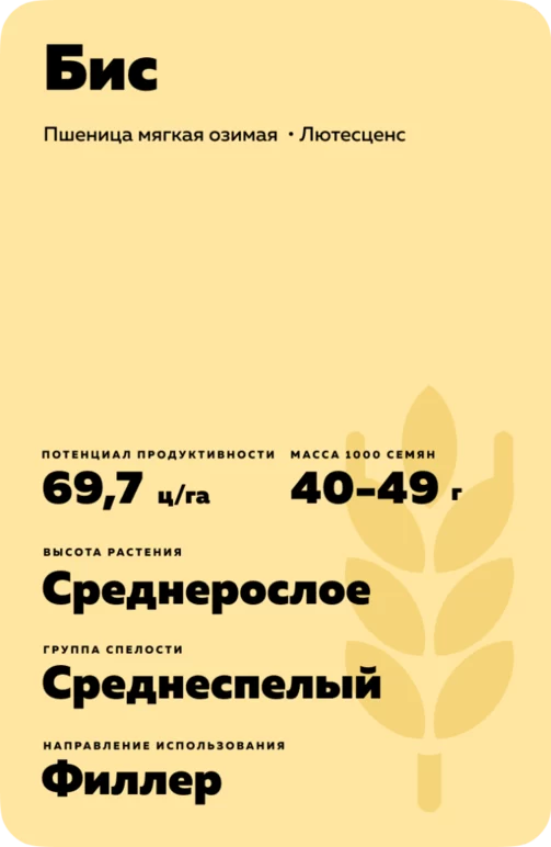 Бис сорт мягкой озимой пшеницы