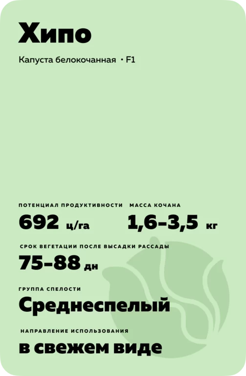 Хипо (HYPOO) гибрид капусты белокочанной