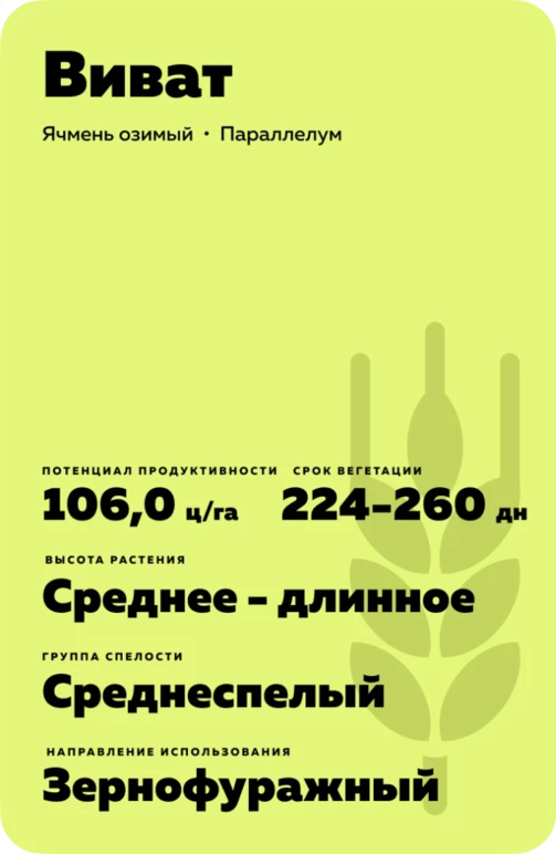 Виват сорт озимого ячменя