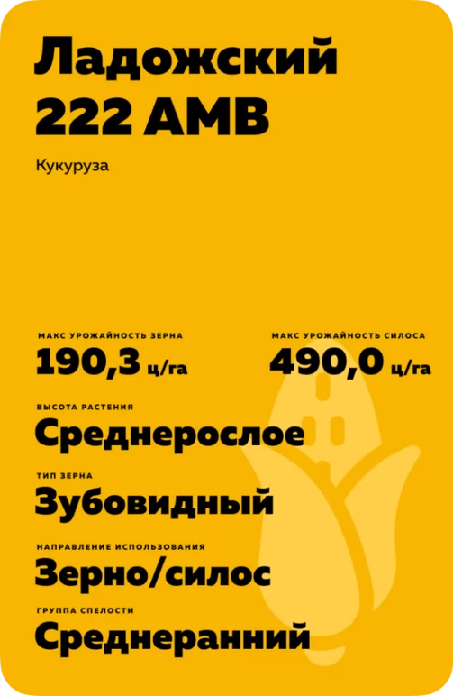 Ладожский 222 АМВ