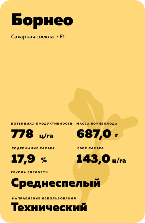 Борнео
