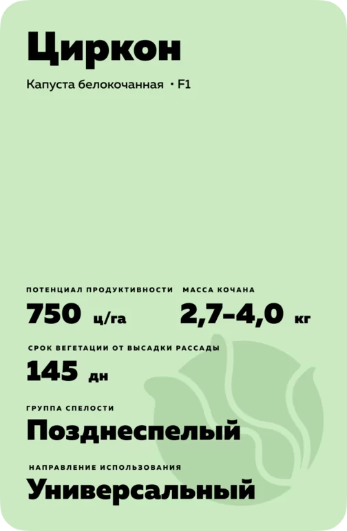 Циркон (SIRCON) гибрид капусты белокочанной