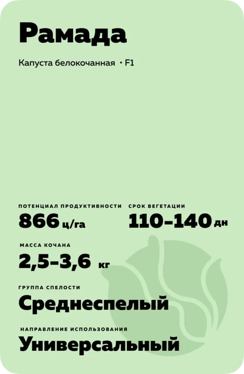 Рамада гибрид капусты белокочанной