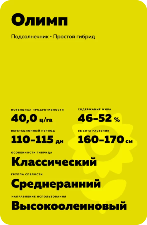 Олимп гибрид подсолнечника