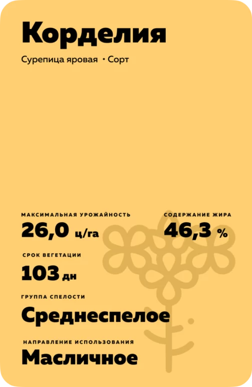 Корделия (CORDELIA)