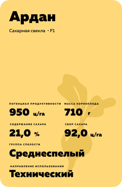 Ардан гибрид сахарной свеклы