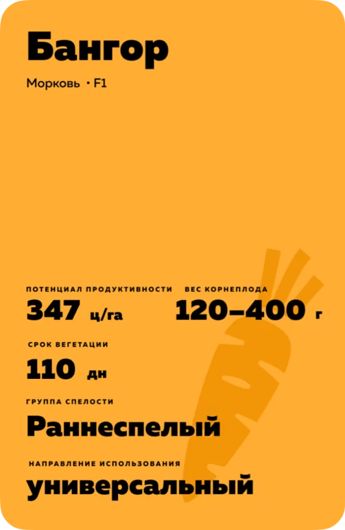 Бангор F1