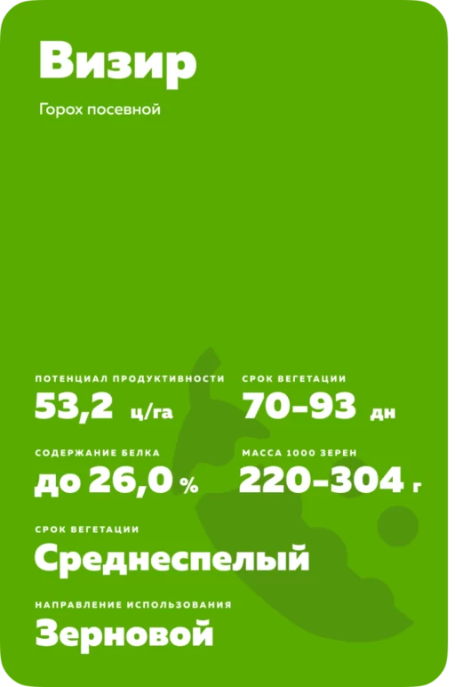 Визир