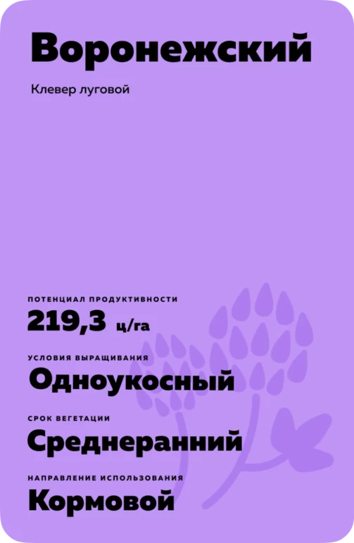 Воронежский