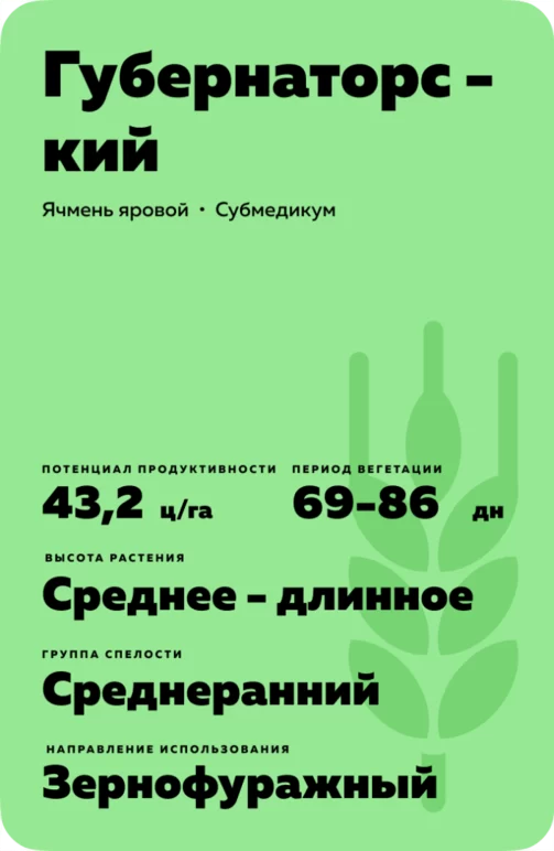Губернаторский